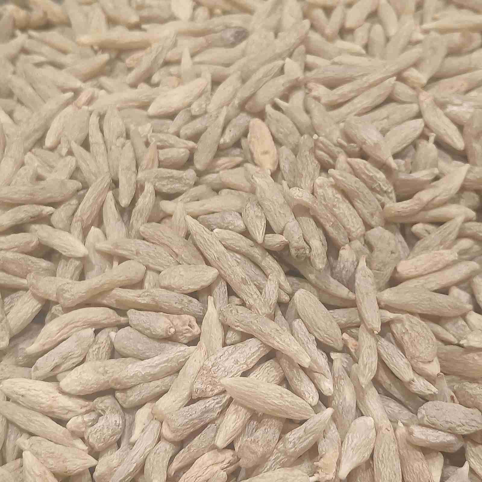麦冬烘干